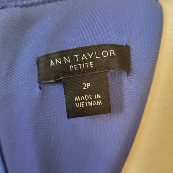 Ann Taylor Blue Sleeveless Flounce Dress Size 2 Petite - Picture 6 of 6